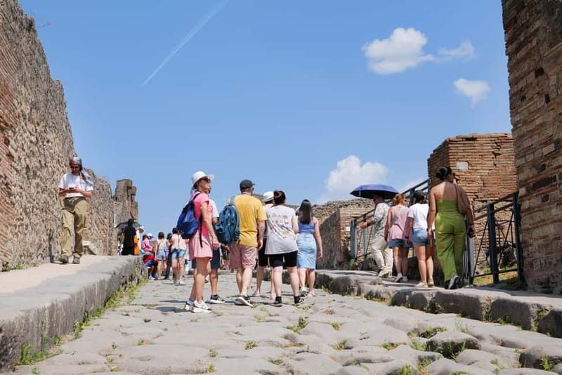 From Rome: Pompeii Ruins Tour with Expert Guide & Fast Train - Key points / Takeaways