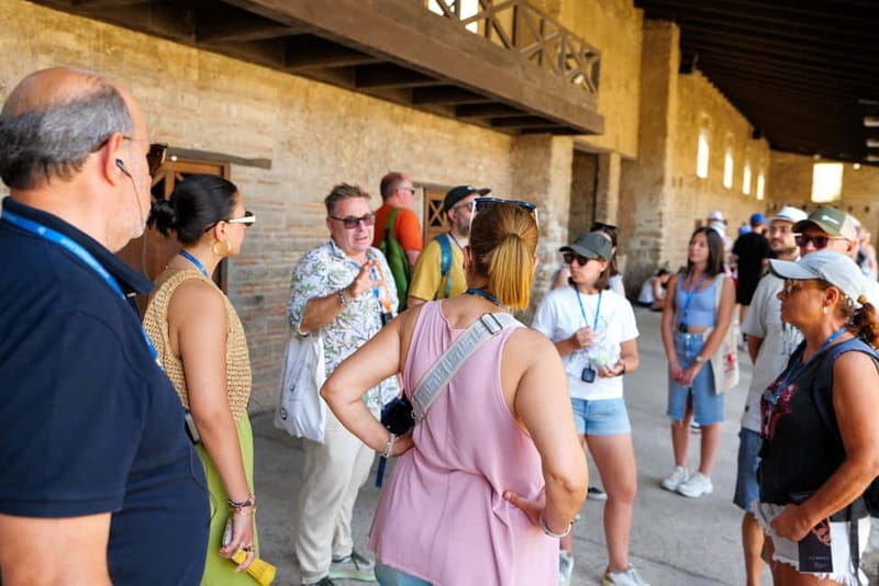From Rome: Pompeii Ruins Tour with Expert Guide & Fast Train - Price and Logistics: Good Value for the Money