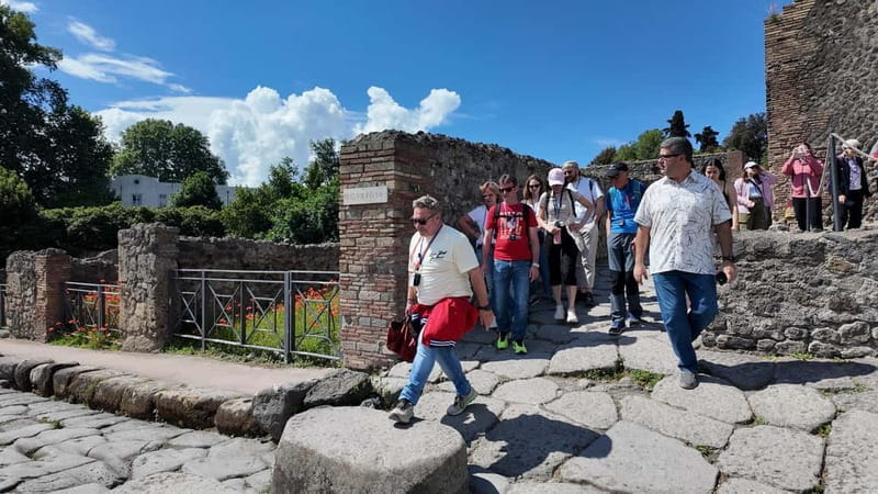 From Rome: Pompeii Ruins Tour with Expert Guide & Fast Train - Who Should Book This Tour?
