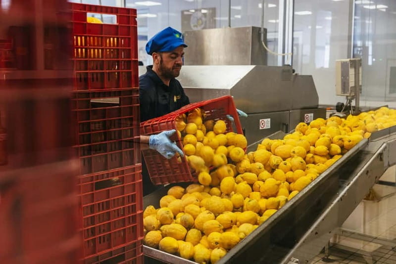 From Rome: Pompeii, Sorrento Day Trip & Colosseum Ticket - Starting the Day in Rome: Comfort and Convenience