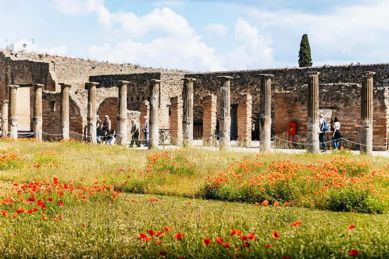 From Rome: Pompeii, Sorrento Day Trip & Colosseum Ticket - Price, Logistics, and Overall Value