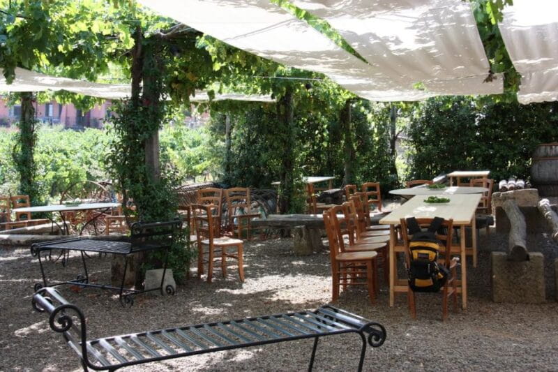 From Rome: Private Countryside Wine Tasting with Lunch - Relaxing in the Countryside & Capturing Memories