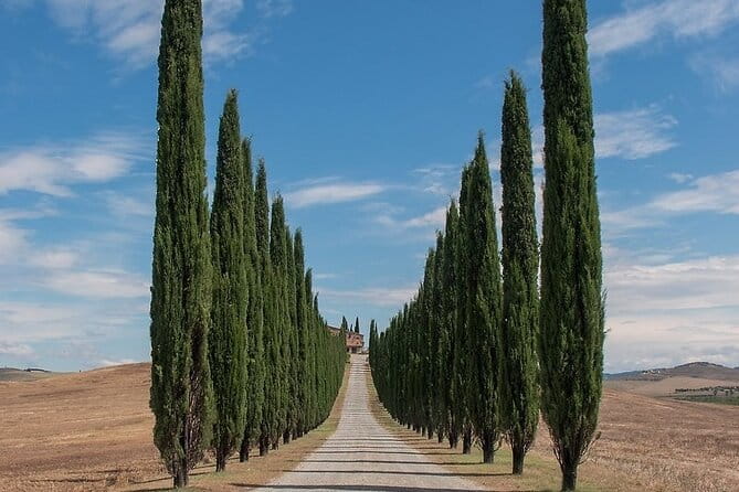 From Rome: Private Day-Tour of Tuscany - Key points / Takeaways