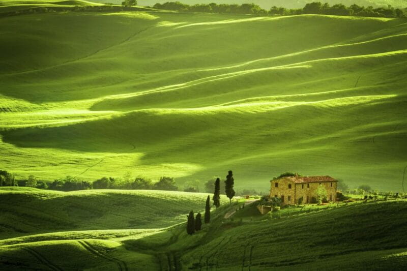 From Rome: Private Tuscany Day Trip - Key points / Takeaways