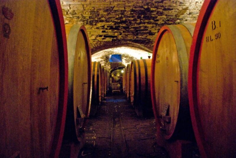 From Rome: Private Tuscany Day Trip - Price and Value Analysis