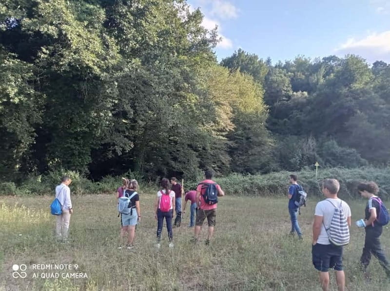 From Rome: Trekking to Cesano's Woods with Lunch - Discovering Cesano’s Woods: An Authentic Escape from Rome