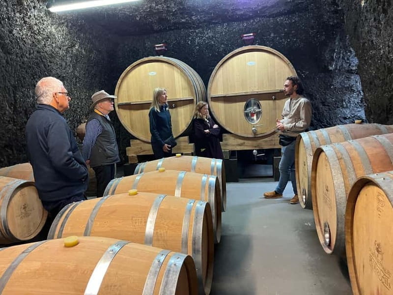 From Rome: Tuscany Day Trip with Lunch and Wine Tastings - Key Points / Takeaways