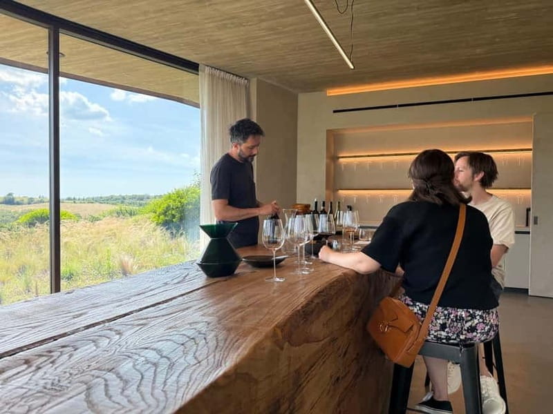 From Rome: Tuscany Day Trip with Lunch and Wine Tastings - The Journey Begins: From Rome to Tuscan Countryside