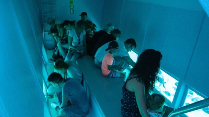 From Roses: Medes Islands Boat Tour with El Estartit Visit - Who Will Enjoy This Experience?