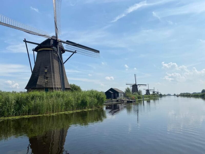 From Rotterdam: Kinderdijk, Delft & The Hague Private Tour - Unpacking the Charm of This Private Netherlands Tour