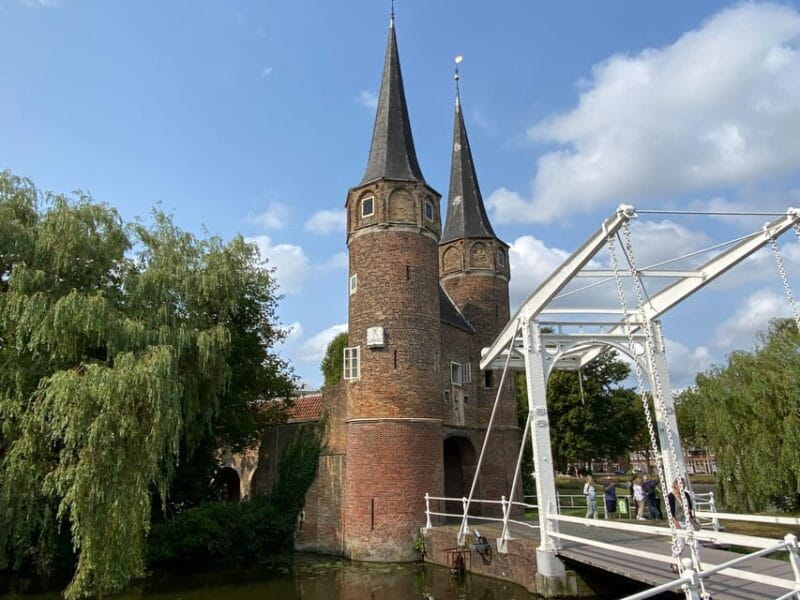 From Rotterdam: Kinderdijk, Delft & The Hague Private Tour - The Sum Up