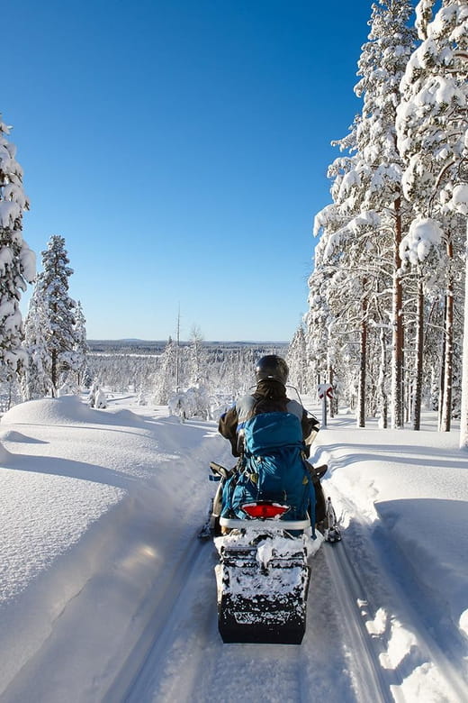 From Rovaniemi: 2-Hour Snowmobile Safari - Who Will Love This?