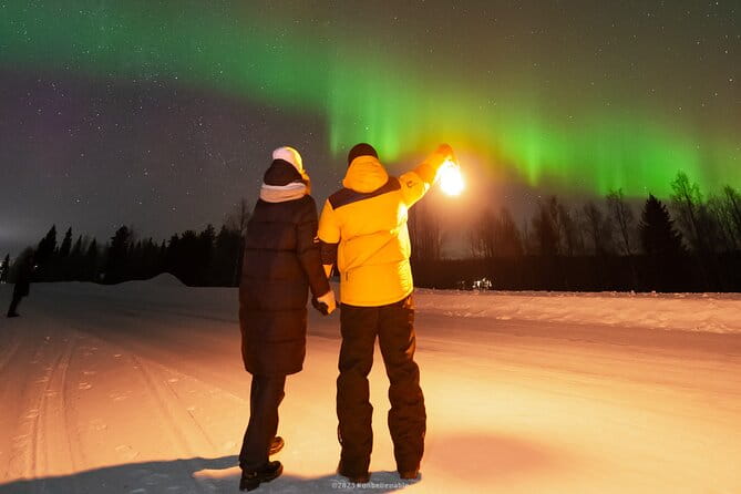 From Rovaniemi: Aurora Borealis Hunting with Photos & Videos - Genuine Aurora Borealis Hunting from Rovaniemi: An In-Depth Review