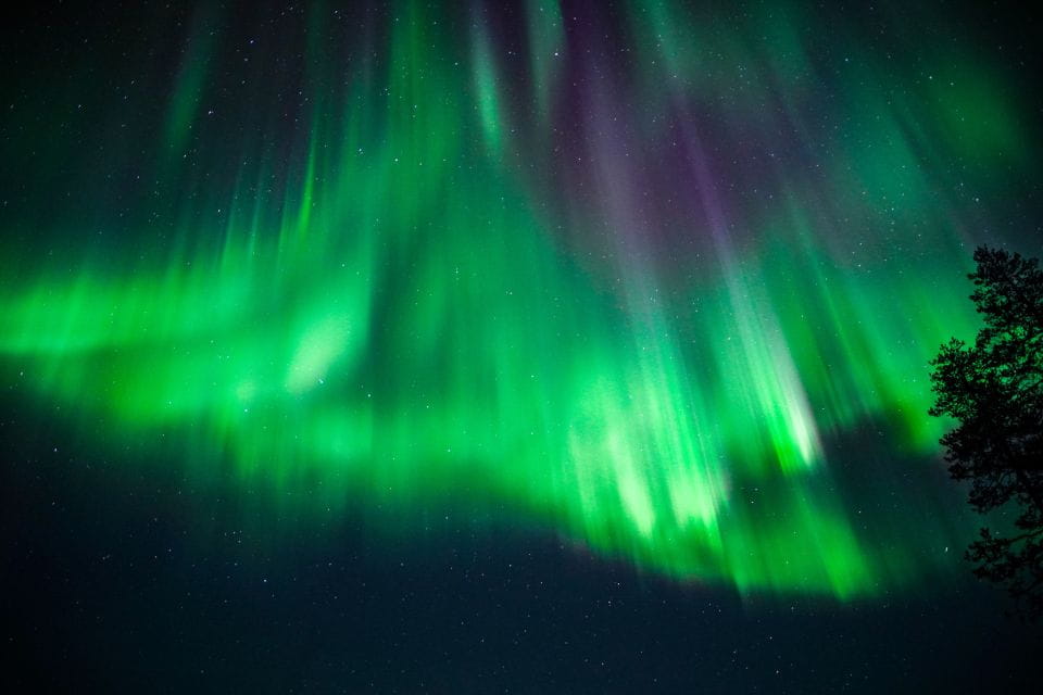 From Rovaniemi: Family-Friendly Northern Lights Tour - Important Considerations
