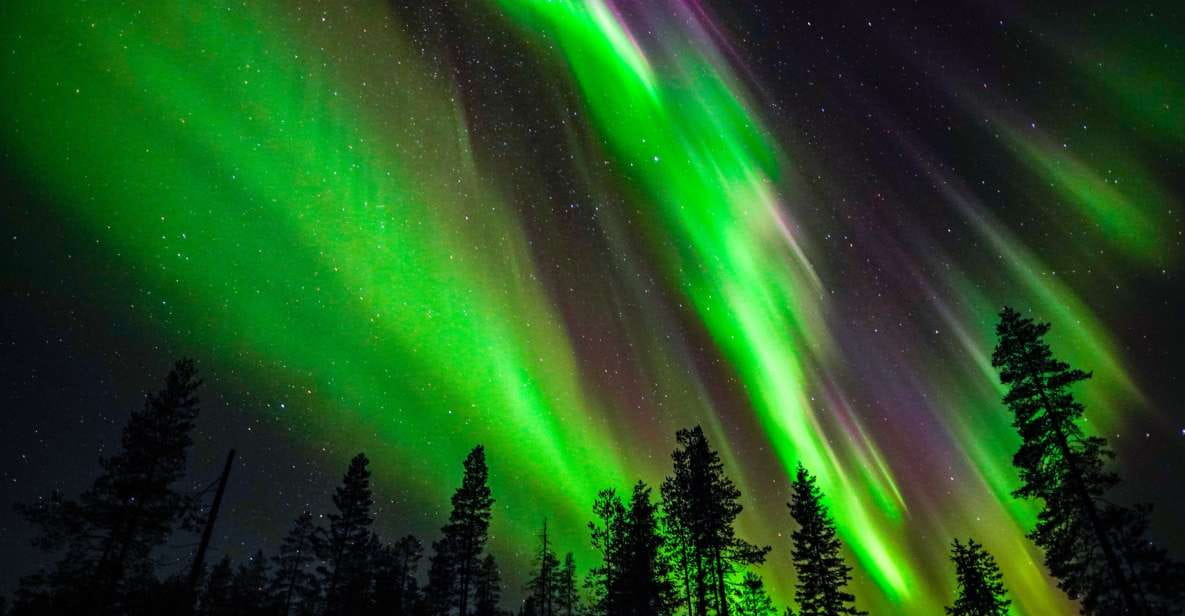 From Rovaniemi: Family-Friendly Northern Lights Tour - Transportation and Pickup