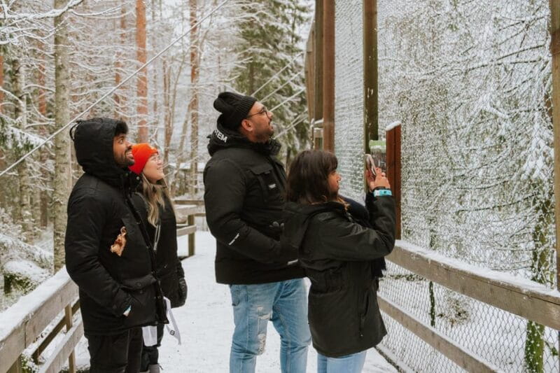 From Rovaniemi: Family Friendly Visit to Ranua Wildlife Park - Price and Logistics: Good Value for a Focused Experience