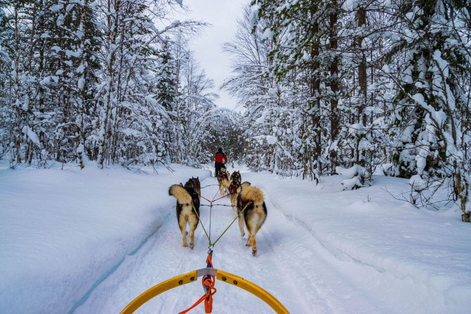 From Rovaniemi: Husky Safari and Salmon Ice Fishing - Frequently Asked Questions