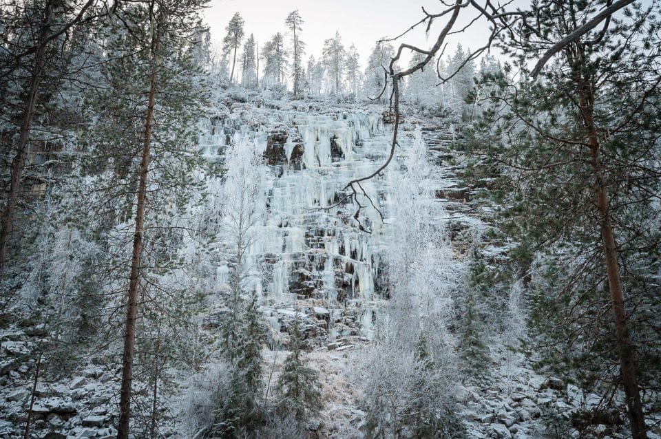 From Rovaniemi: Korouoma Canyon and Frozen Waterfalls Tour - Observing Local Wildlife