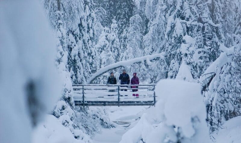 From Rovaniemi: Korouoma Canyon and Frozen Waterfalls Tour - Price and Logistics: Is It Worth It?