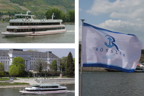 From Rüdesheim: 1.5-Hour Boat Cruise with Wine Tasting - The Scenic Highlights of the Rhine from Rüdesheim