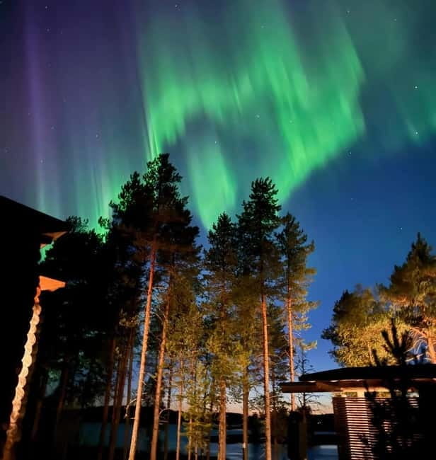 From Ruka: Northern Lights Wilderness Tour with Van - The Itinerary: What You’ll Experience
