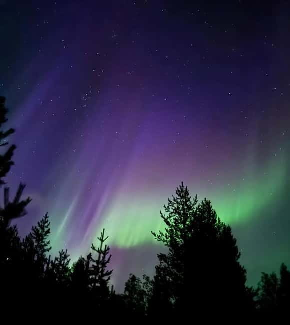 From Ruka: Northern Lights Wilderness Tour with Van - Why This Tour Stands Out