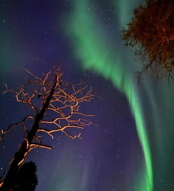 From Ruka: Northern Lights Wilderness Tour with Van - FAQ