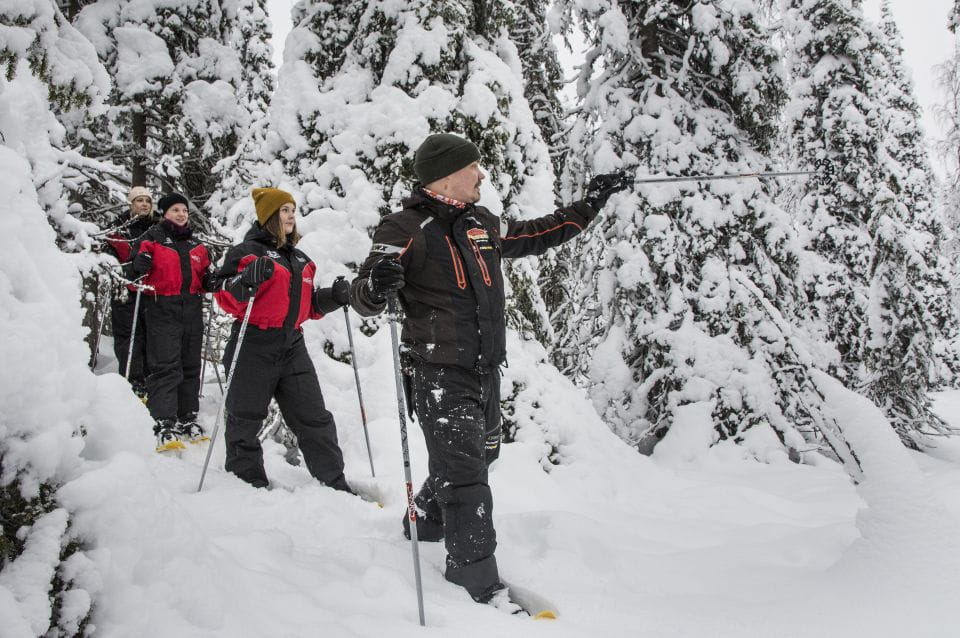 From Ruka: Snowshoeing in Oulanka National Park - Exploring Oulanka National Park