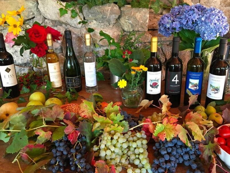 From Salerno: Amalfi Coast Tour and Wine Tasting with Lunch - Tramonti: The Heart of Wine Tasting and Lunch