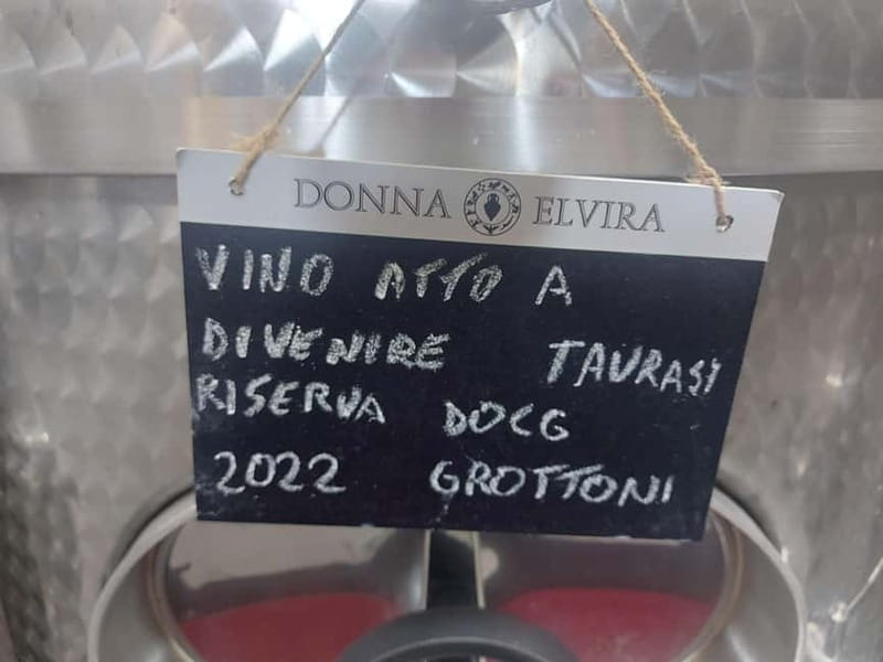 From Salerno: Irpinia Wine Tour Half-Day Trip - Who Will Love This Tour?