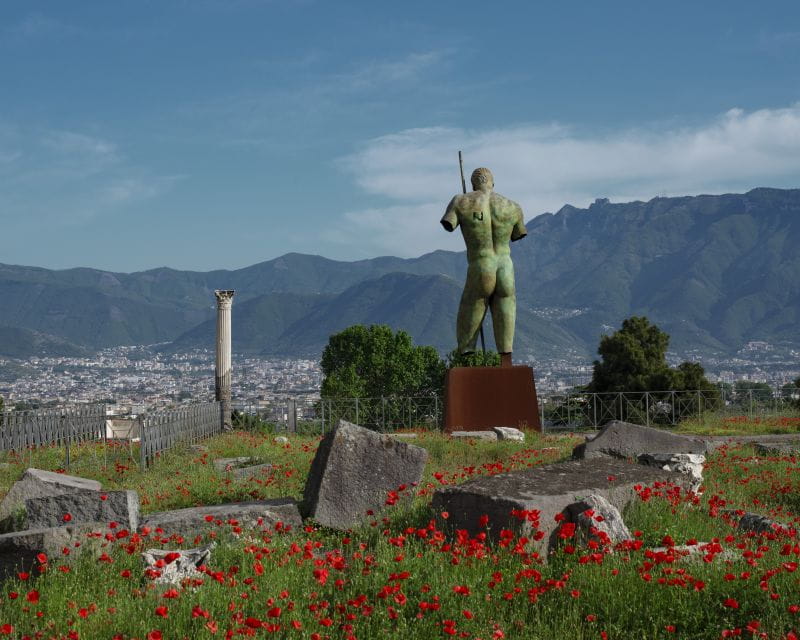From Salerno: Pompeii Guided Walking Tour with Ticket - Practical Details and Logistics