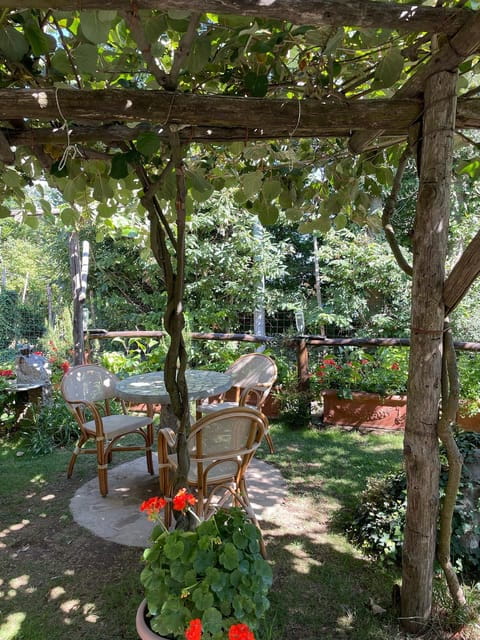 From Salerno:Amalfi Coast Tour & Cooking Class with Transfer - Key points / Takeaways