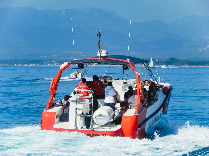 From Salou/Cambrils: Speedboat Tour - Key Points