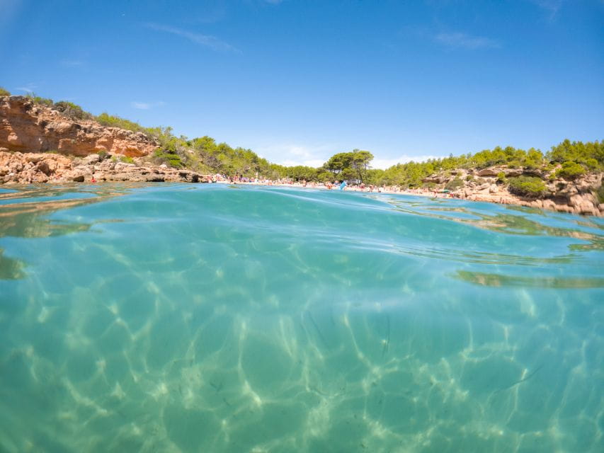 From Salou/Cambrils: Speedboat Tour - Experience Highlights