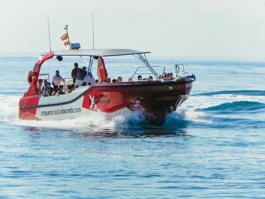 From Salou/Cambrils: Speedboat Tour - Things To Know