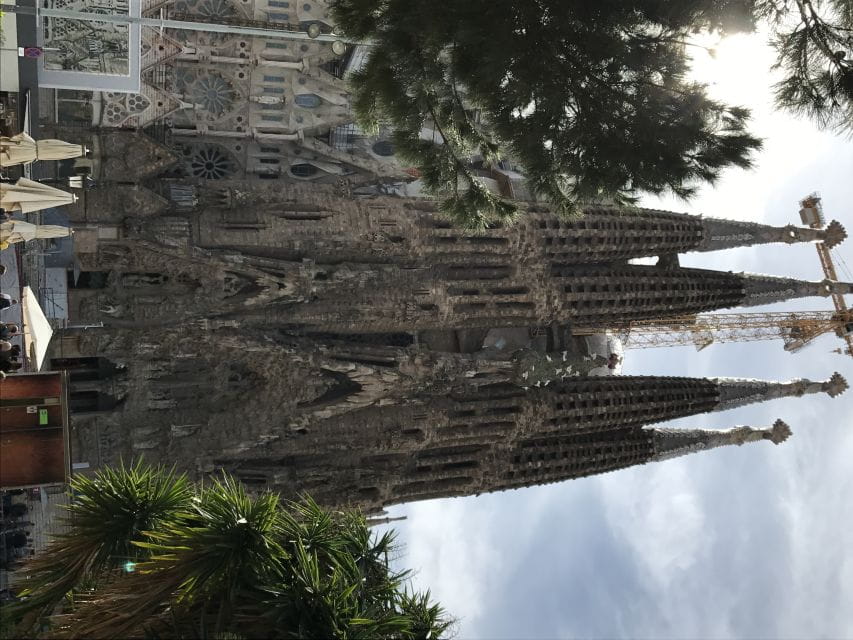 From Salou: Full Day Barcelona Panoramic Tour With Free Time - Customer Reviews and Ratings