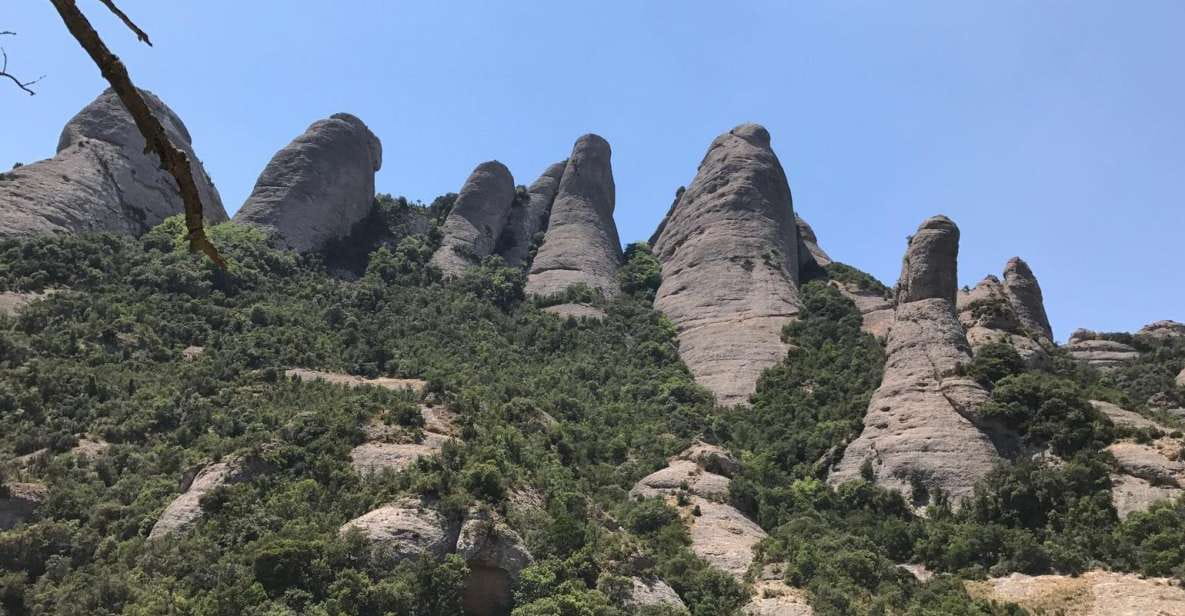 From Salou: Montserrat Monastery and Colonia Güell - Customer Reviews