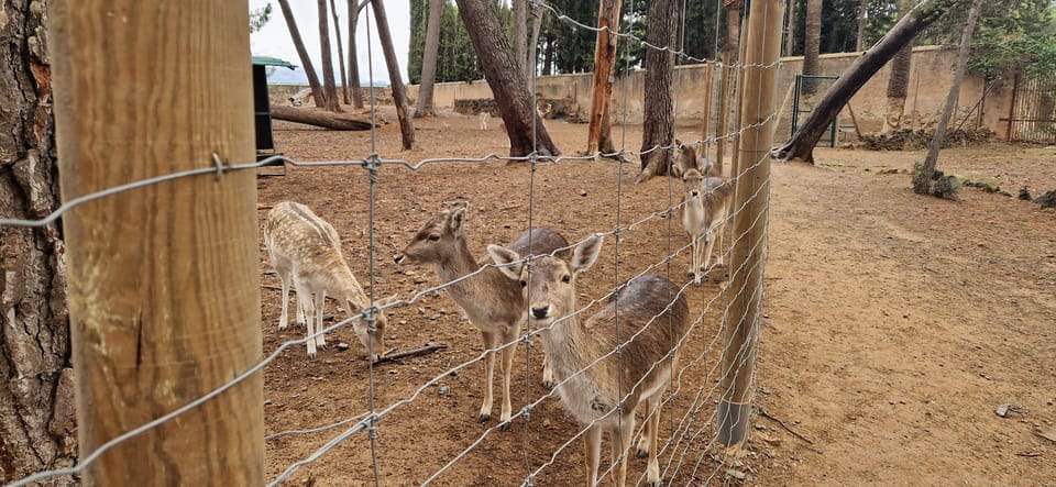 From Salou: Park Samá With 1 Glass of Vermouth With Hotel Pickup - Things To Know