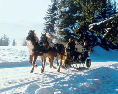 From Salzburg: 8-hour Horse-Drawn Tour w/ 2-hour Sleigh Ride - A Scenic Winter Escape from Salzburg: Horse-Drawn Sleigh Ride in Ramsau