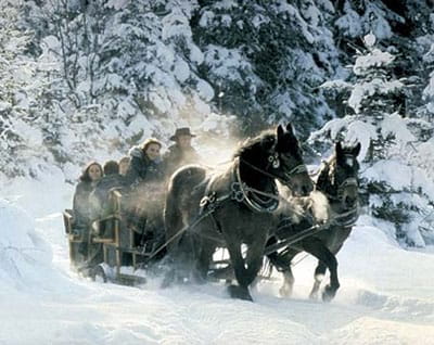 From Salzburg: 8-hour Horse-Drawn Tour w/ 2-hour Sleigh Ride - Key points / Takeaways