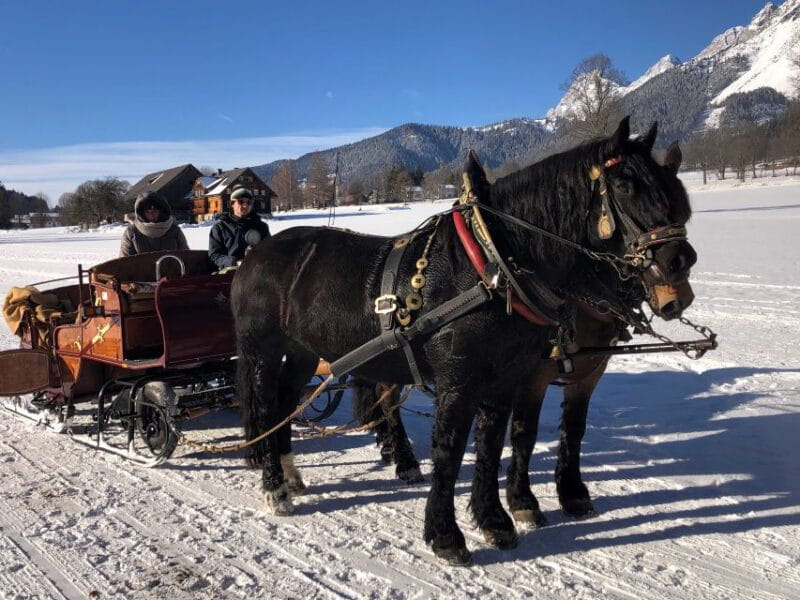 From Salzburg: 8-hour Horse-Drawn Tour w/ 2-hour Sleigh Ride - Transportation, Logistics, and Value