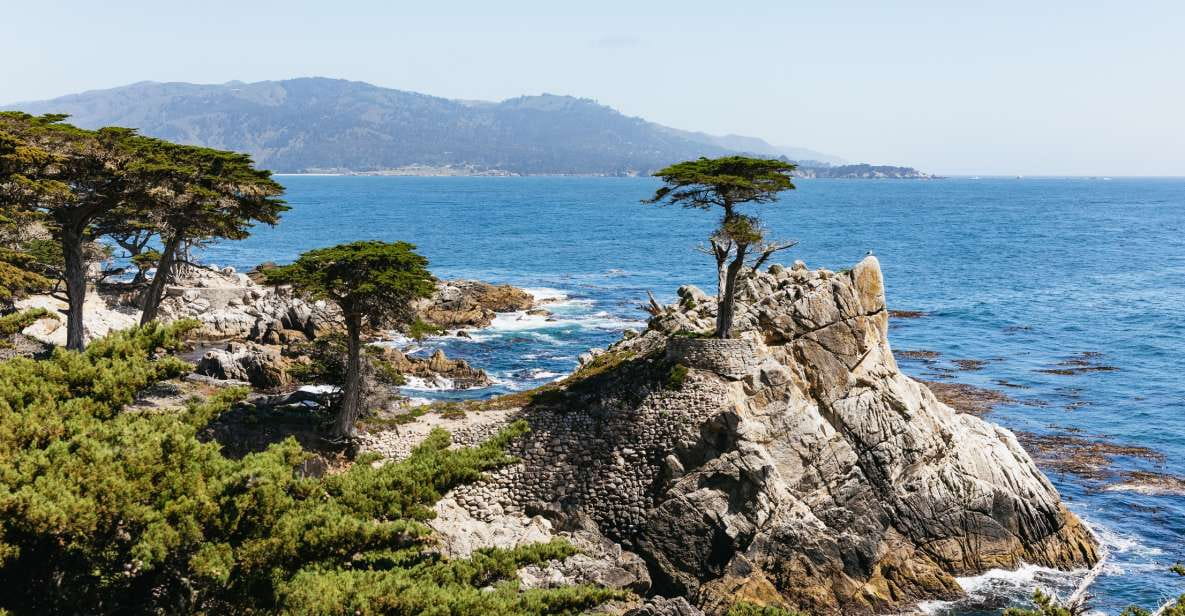 From San Francisco: Monterey and Carmel Day Tour - Scenic Drive Along Highway 1