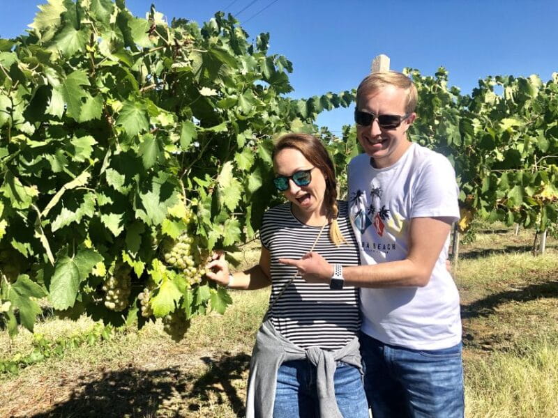 From San Gimignano: Chianti Half-Day Vespa Tour with Lunch - FAQ (Frequently Asked Questions)