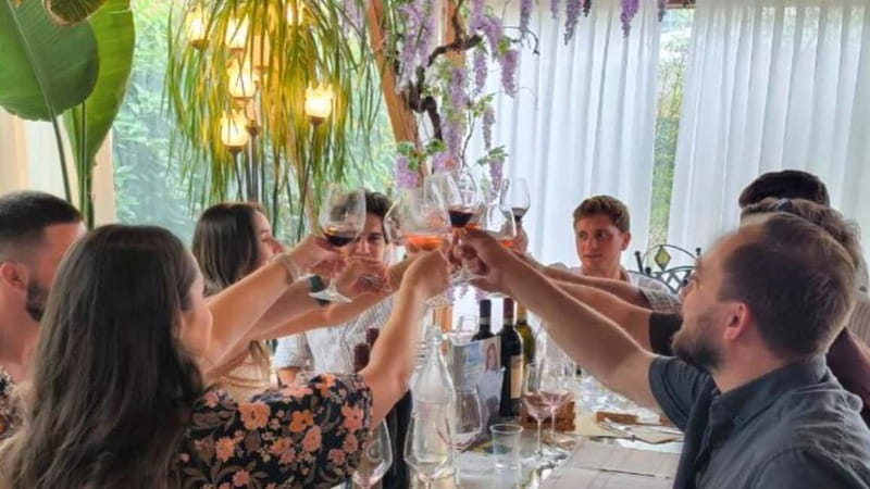 From San Gimignano: Chianti Wine tour with 2 wineries - Key points / Takeaways