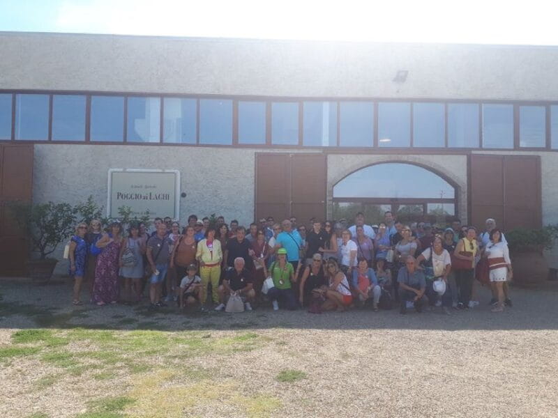 From San Gimignano: Vintage Fiat 500 Self-Drive Chianti Tour - The Itinerary in Detail