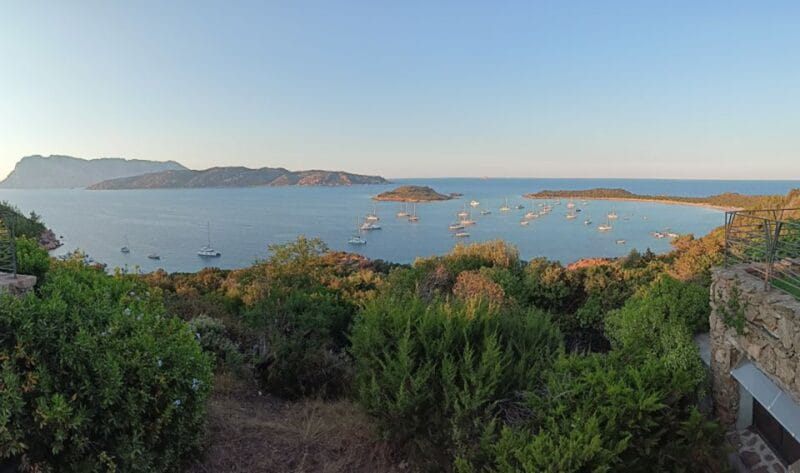 From San Teodoro: Tavolara Archipelago Mini Tour - Entering the World of Sardinian Coastlines