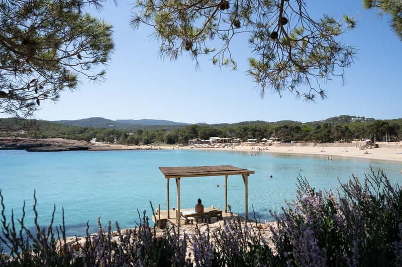 From Sant Antoni: round trip by boat to Cala Conta or Cala Bassa - Who It Suits Best