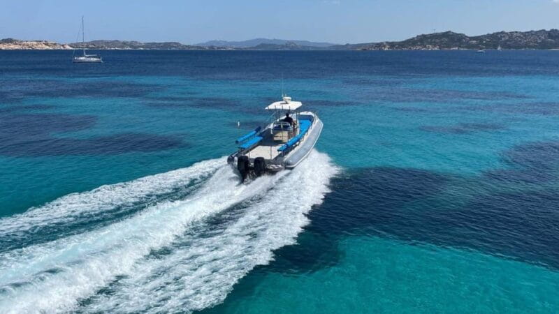 From Santa Teresa Gallura: dinghy tour to Corsica - The Isola Piana Swim: Crystal Waters and Marine Life