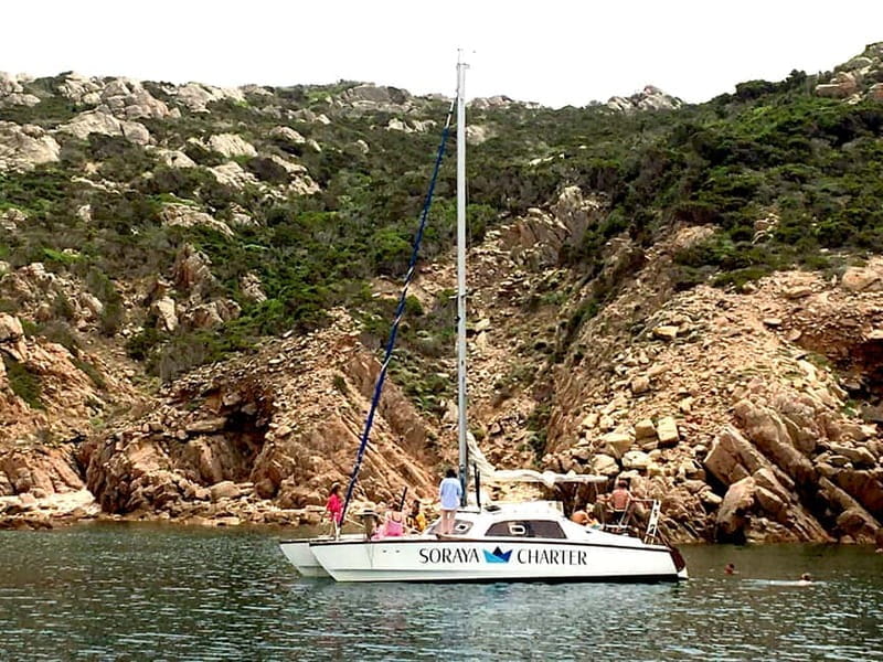 From Santa Teresa Gallura: La Maddalena Catamaran Tour - Price and Logistics
