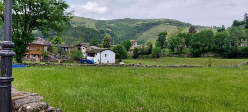 From Santander: Gastronomic Tour - Practical Tips for the Tour